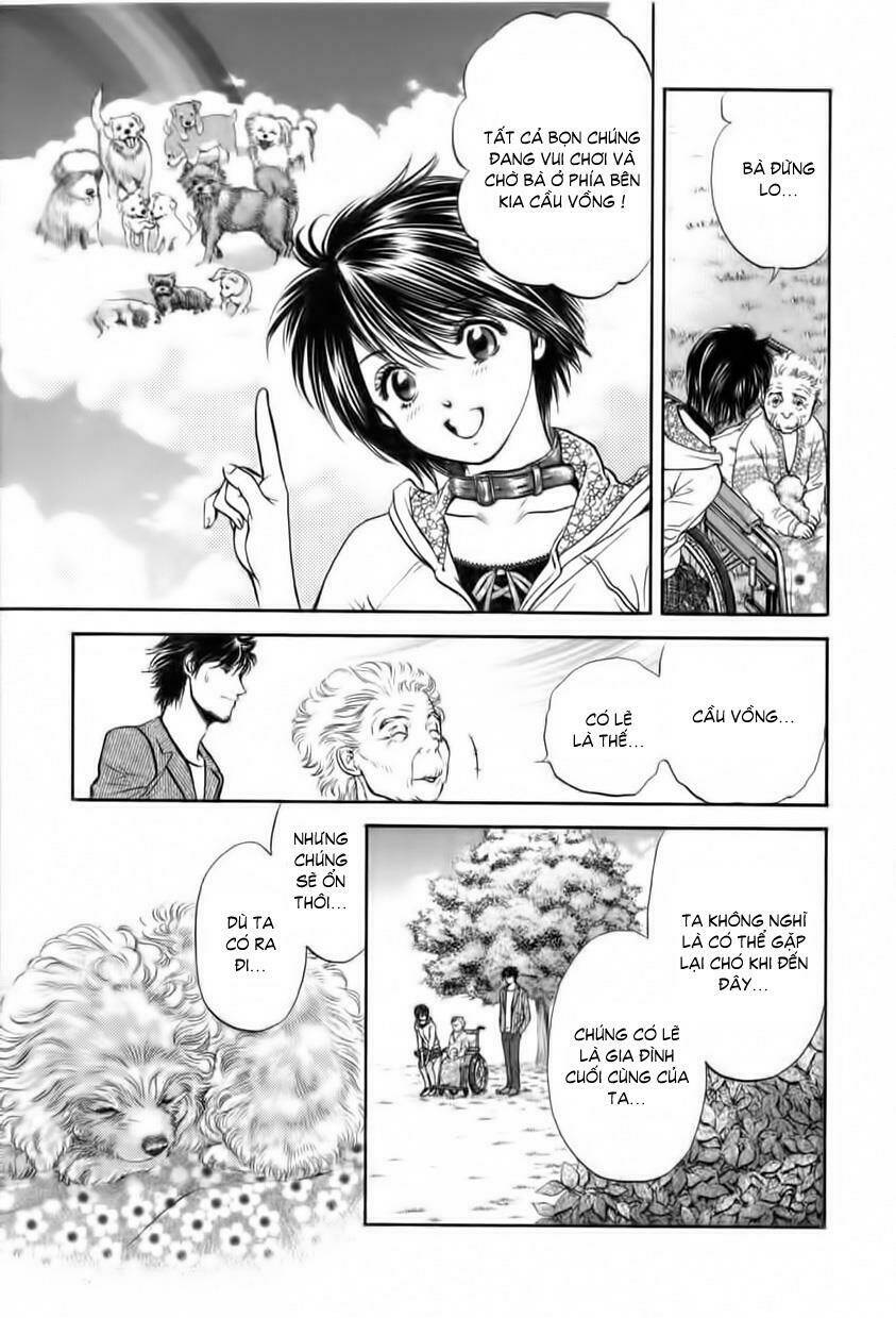 Cô Nàng Yêu Chó Chapter 30 - Trang 2