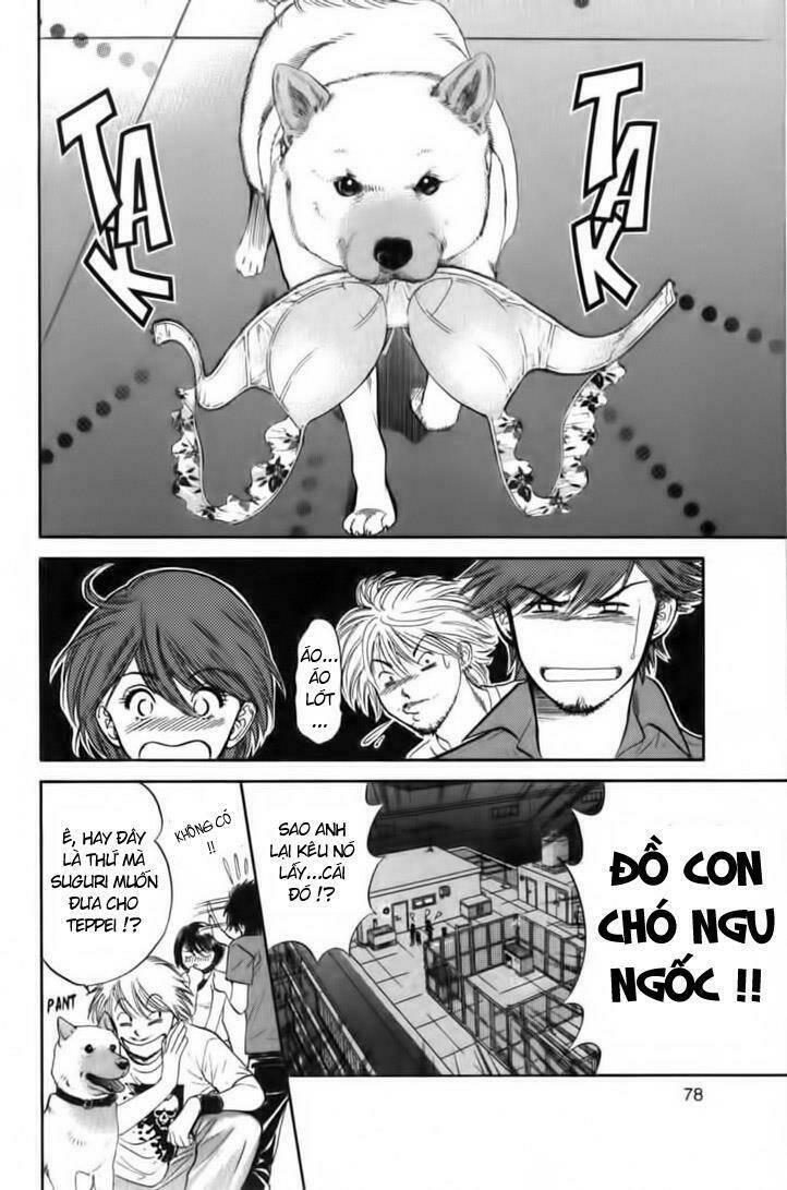 Cô Nàng Yêu Chó Chapter 23 - Trang 2