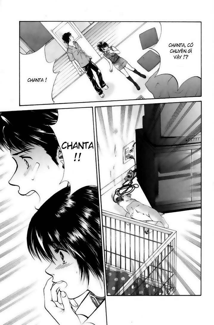 Cô Nàng Yêu Chó Chapter 21 - Trang 2