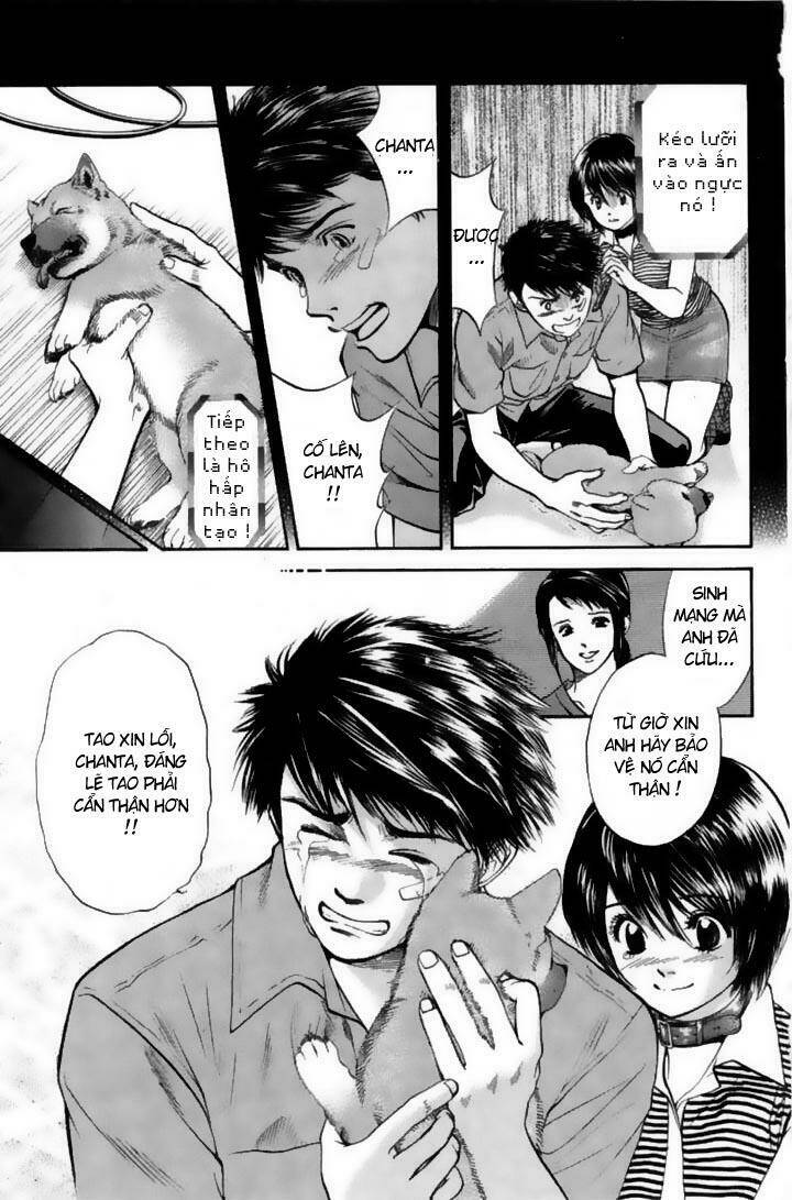 Cô Nàng Yêu Chó Chapter 21 - Trang 2