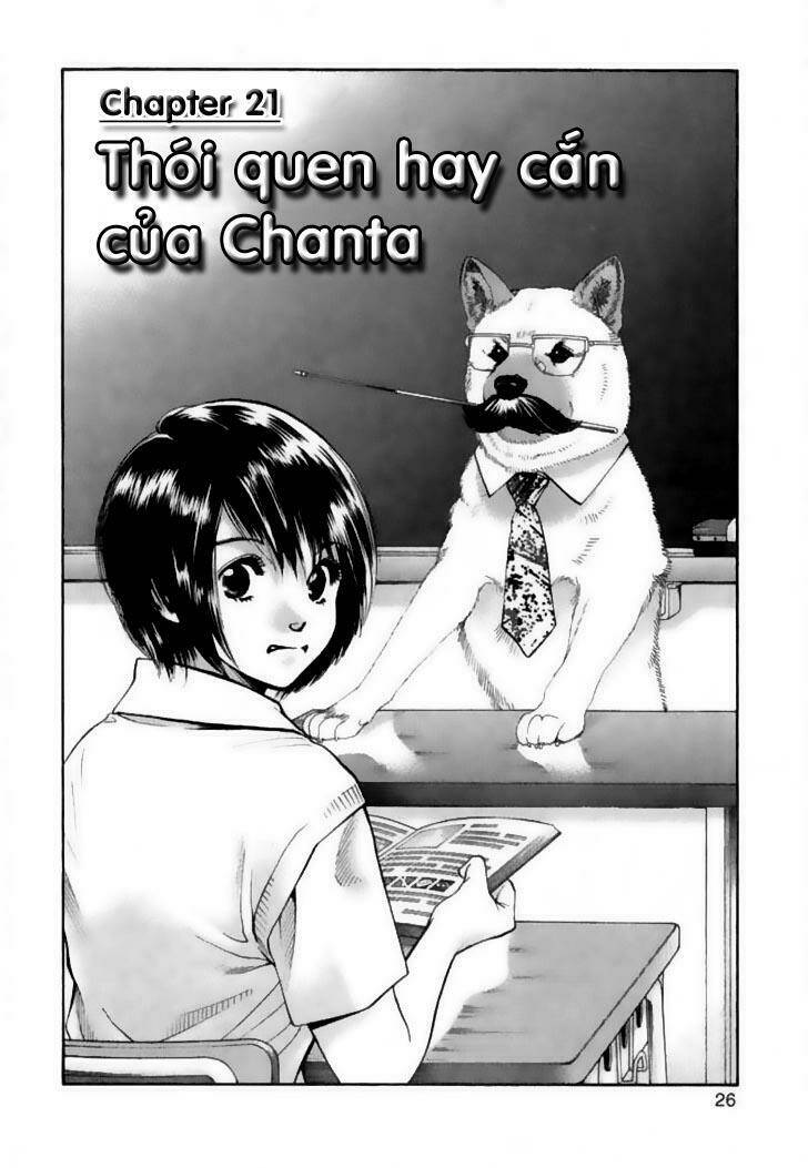 Cô Nàng Yêu Chó Chapter 21 - Trang 2