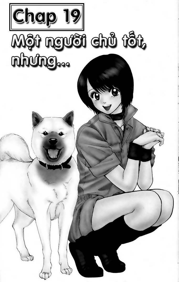 Cô Nàng Yêu Chó Chapter 19 - Trang 2