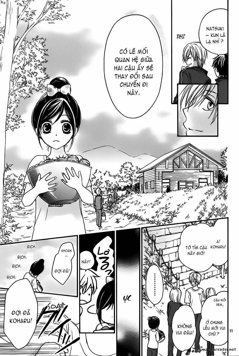 Hachimitsu Ni Hatsukoi Chapter 3 - Trang 2