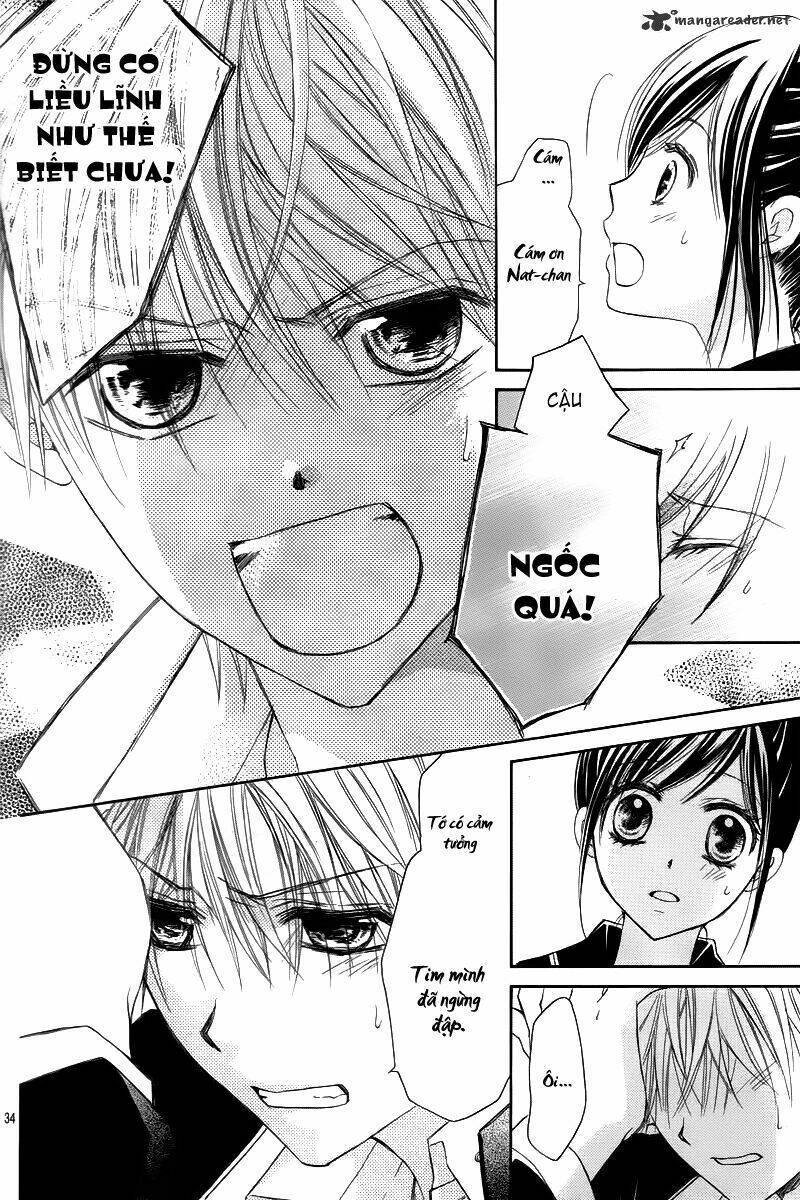 Hachimitsu Ni Hatsukoi Chapter 1 - Trang 2