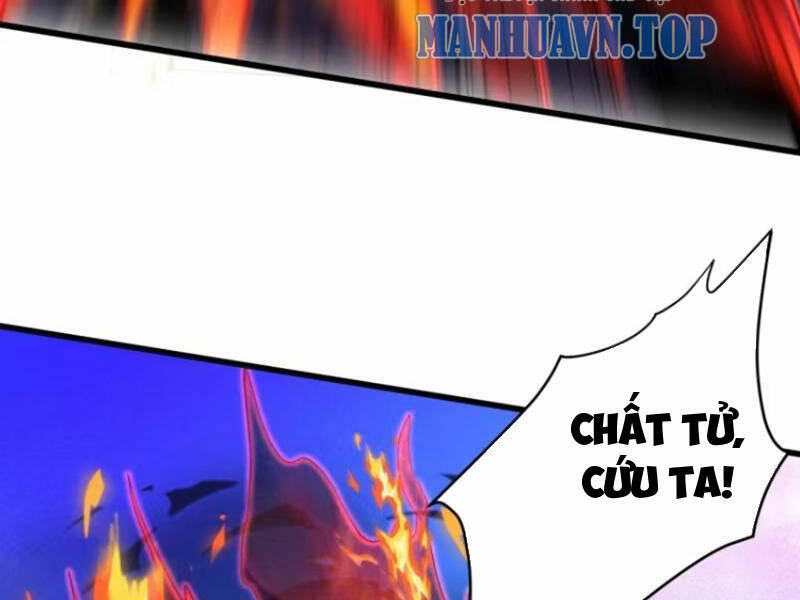 Thê Tử Của Ta Là Đại Lão Đại Thừa Kỳ Chapter 40 - Trang 2