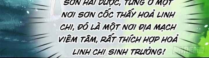 Thân Thể Bất Diệt: Chó Ta Đều Thành Đại Đế Chapter 17 - Trang 2