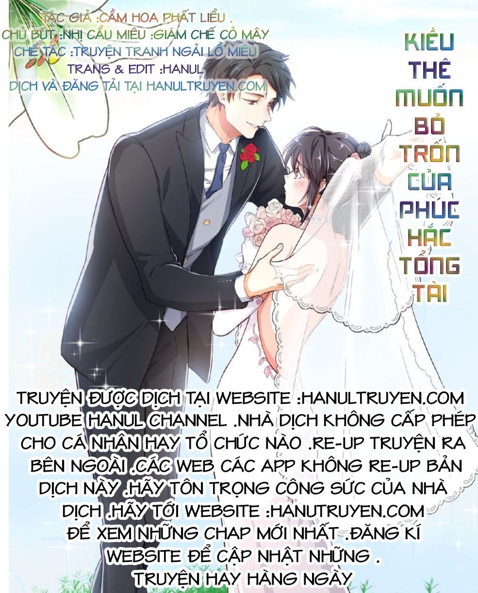 Kiều Thê Muốn Bỏ Trốn Của Phúc Hắc Tổng Tài Chapter 32 - Trang 2