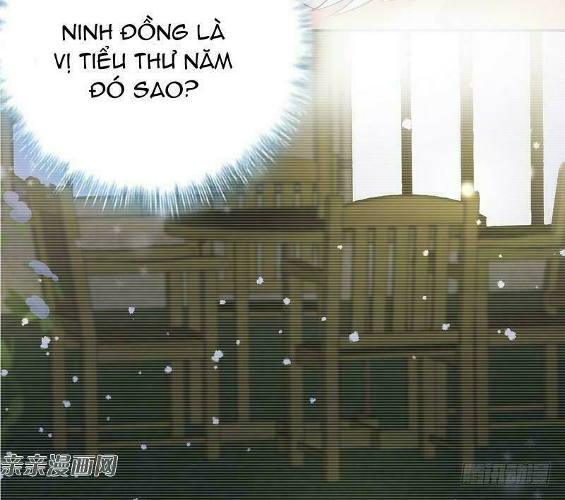 Nam Thần Manh Bảo Tận Diệt Chapter 60 - Trang 2