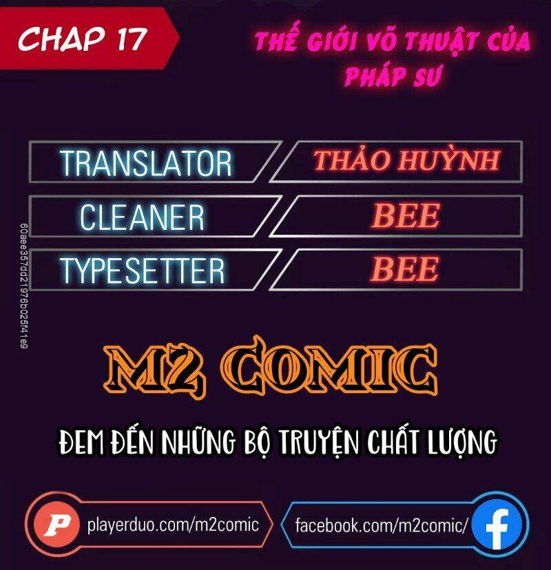 Thế Giới Võ Thuật Của Pháp Sư Chapter 17 - Trang 2