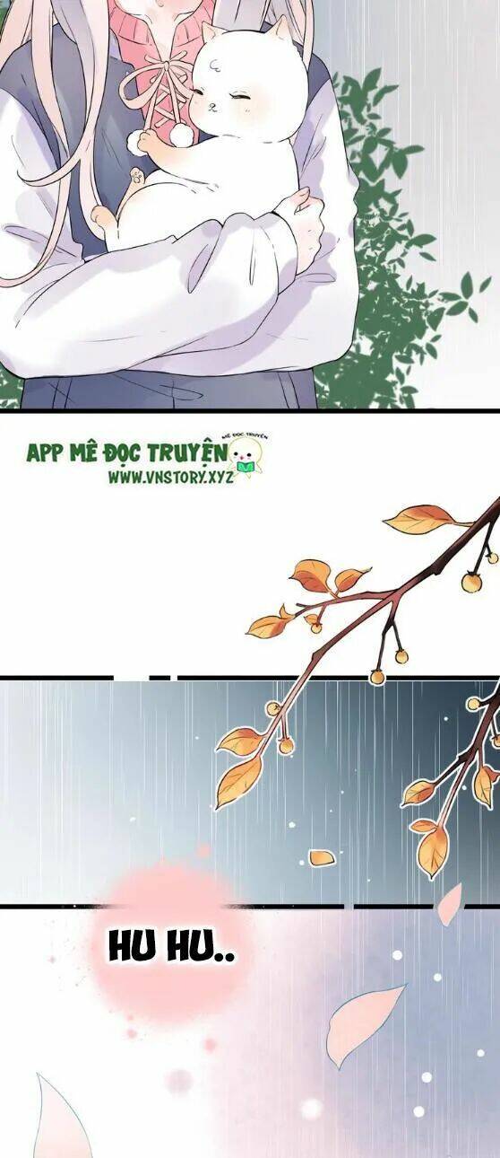 Trạch Thượng Tịch Mịch Huỳnh Hỏa Chapter 42 - Trang 2