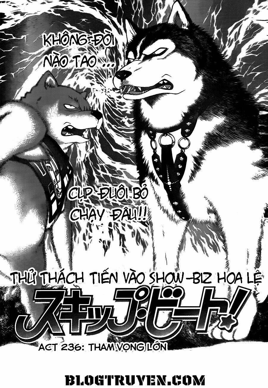 Thử Thách Của Kyouko Chapter 236 - Trang 2