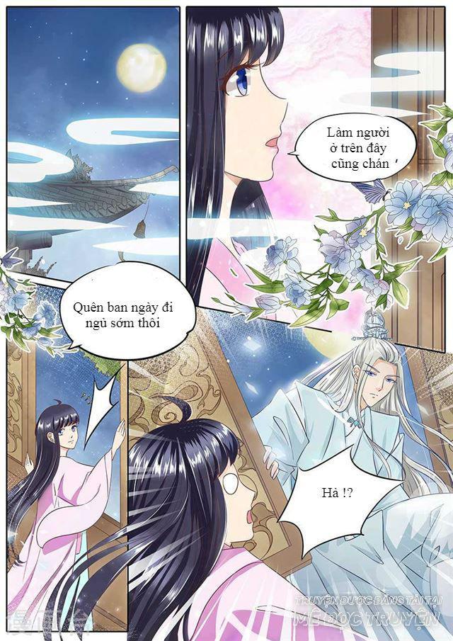 Gia Huynh Ở Lại Tìm Đường Chết Chapter 17 - Trang 2