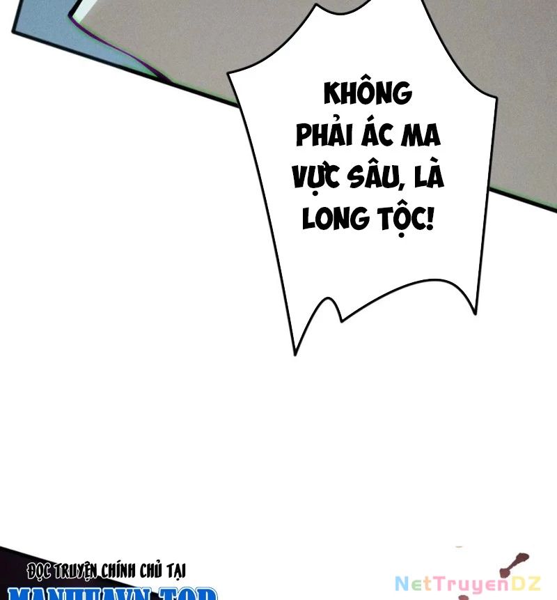 Thảm Họa Tử Linh Sư Chapter 142 - Trang 2