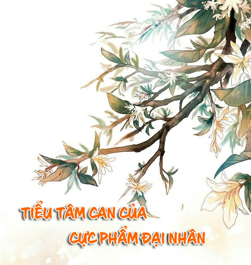 Tiểu Tâm Can Của Cực Phẩm Đại Nhân Chapter 13 - Trang 2