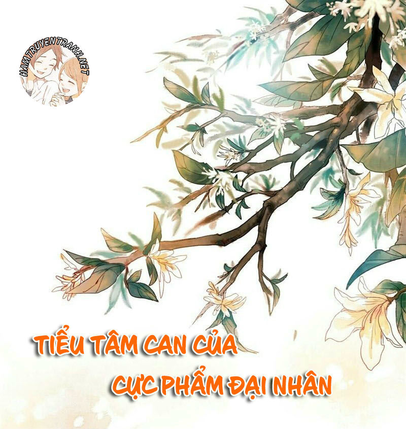 Tiểu Tâm Can Của Cực Phẩm Đại Nhân Chapter 1 - Trang 2