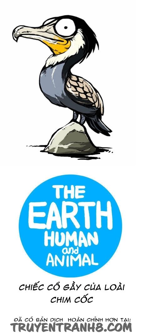 Earth, Human, And Animal Chapter 20 - Trang 2