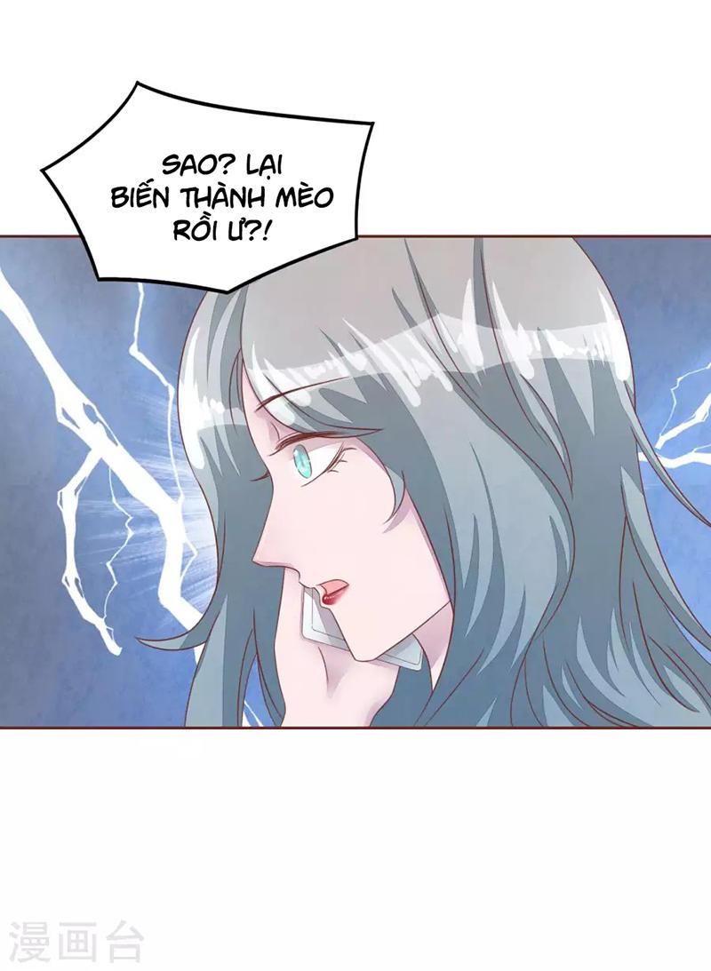 Đào Tạo Nuôi Dưỡng Bạn Trai Mèo Chapter 48 - Trang 2