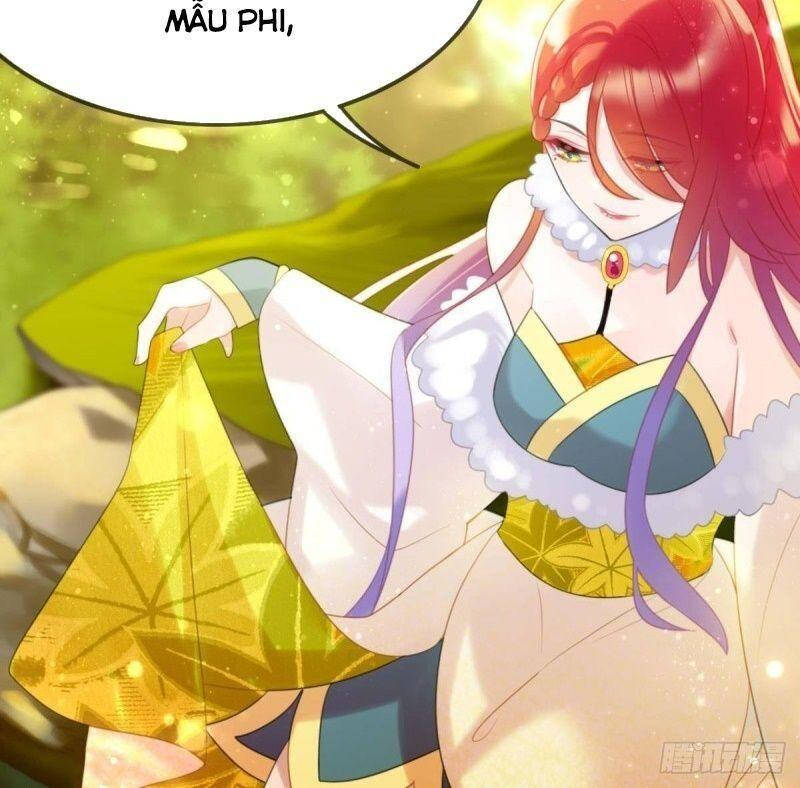 Công Chúa Hòa Thân Lần Này Không Tốt Chapter 36 - Trang 2