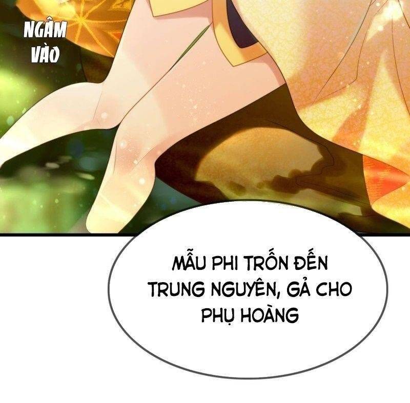 Công Chúa Hòa Thân Lần Này Không Tốt Chapter 36 - Trang 2