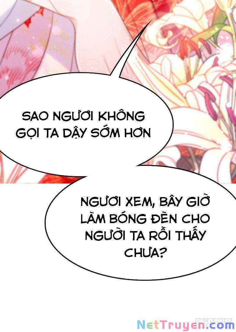 Công Chúa Hòa Thân Lần Này Không Tốt Chapter 33 - Trang 2