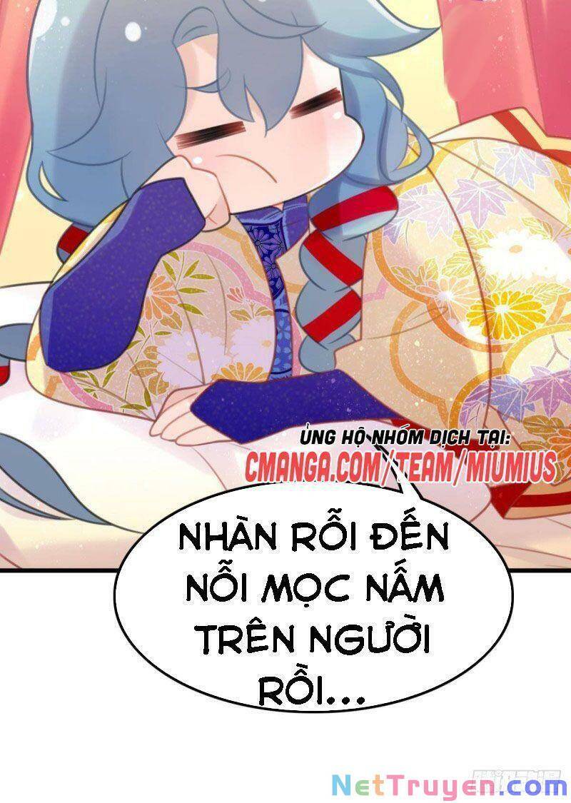 Công Chúa Hòa Thân Lần Này Không Tốt Chapter 32 - Trang 2