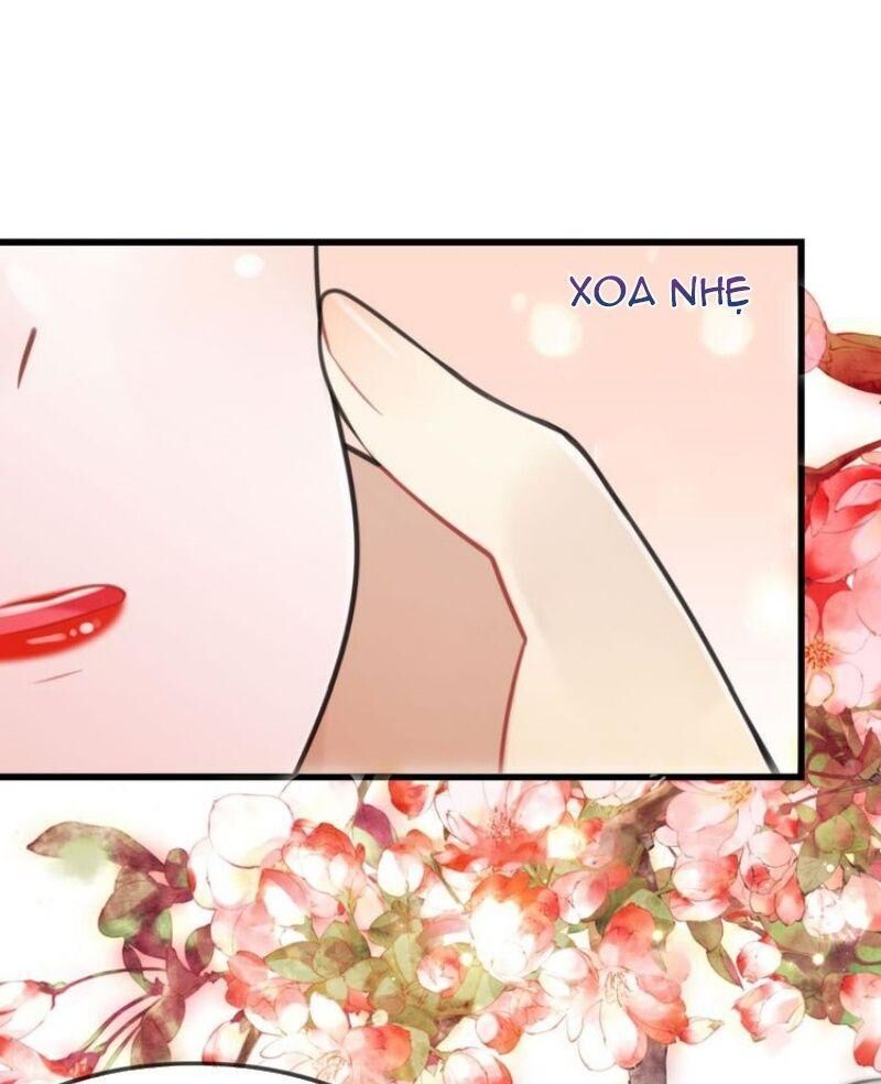 Công Chúa Hòa Thân Lần Này Không Tốt Chapter 19 - Trang 2