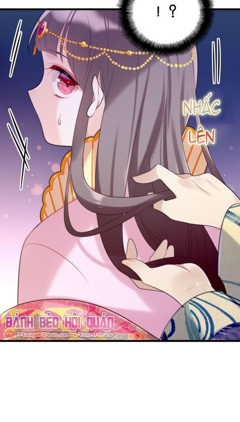 Công Chúa Hòa Thân Lần Này Không Tốt Chapter 16 - Trang 2