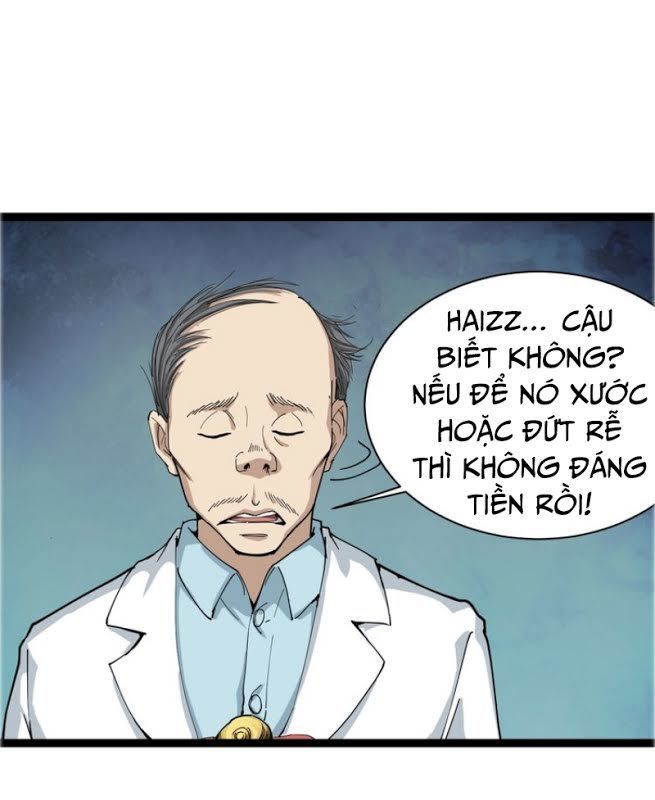 Hồi Xuân Tiểu Độc Y Chapter 6 - Trang 2