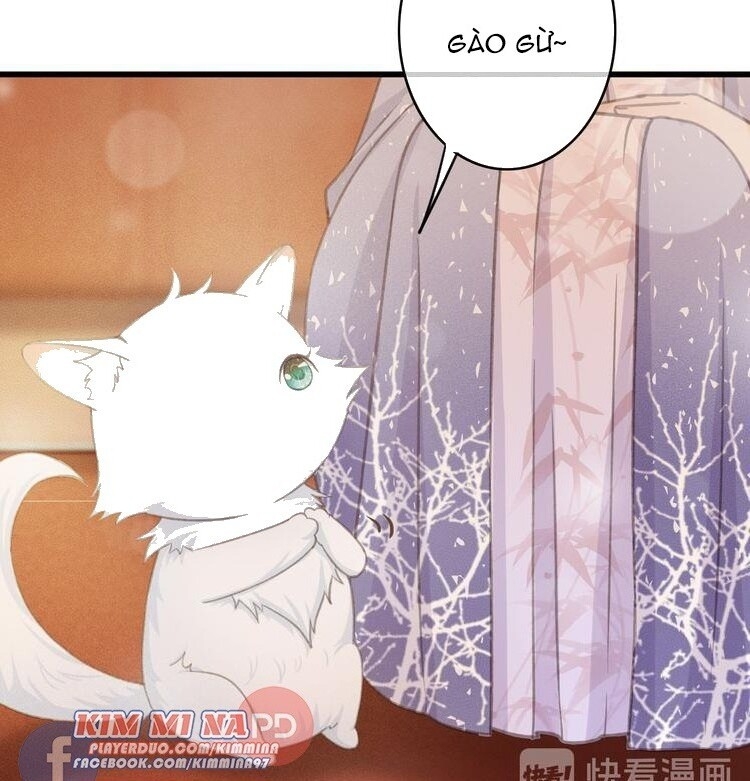 Đông Cung Giai Hạ Tù Chapter 49 - Trang 2