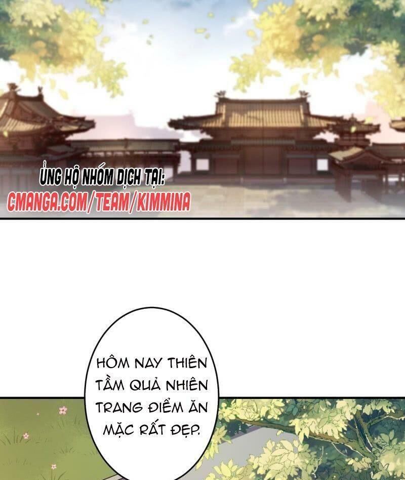 Vương Gia Kiêu Ngạo Quá Khó Cua Chapter 74 - Trang 2