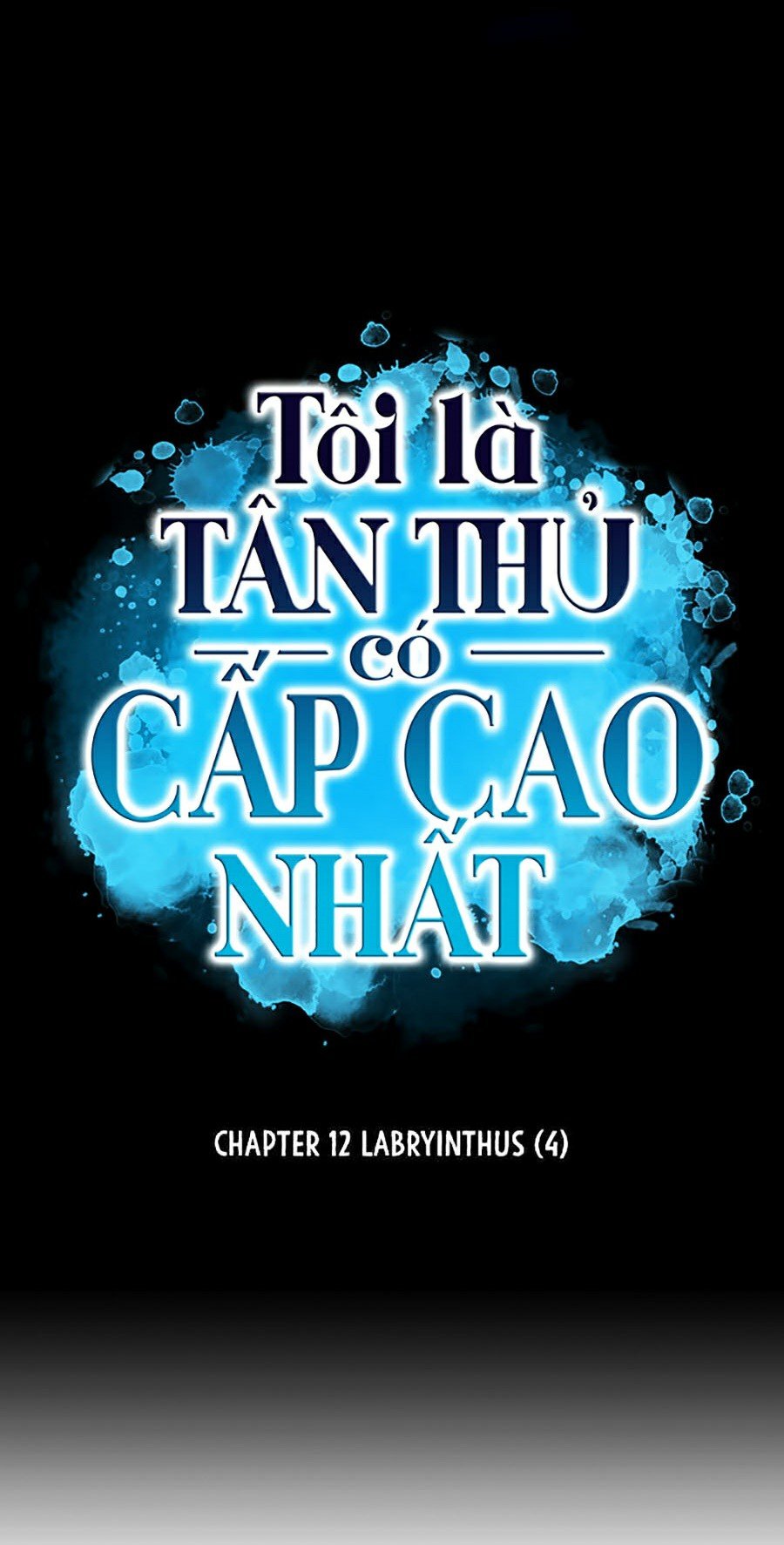 Tôi Là Tân Thủ Có Cấp Cao Nhất Chapter 12 - Trang 2