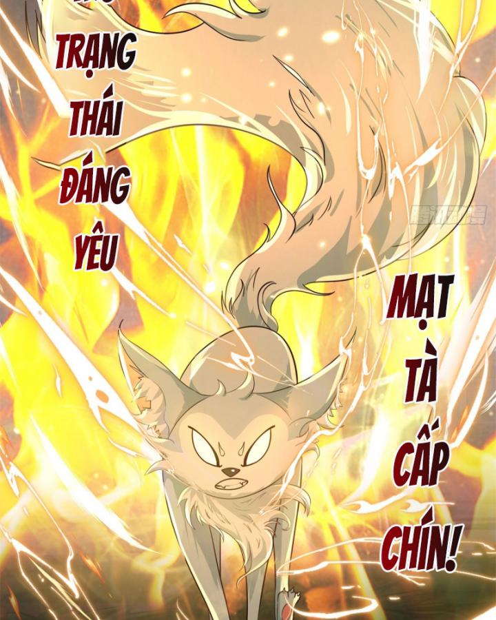 Tân Sủng Mị Chapter 17 - Trang 2