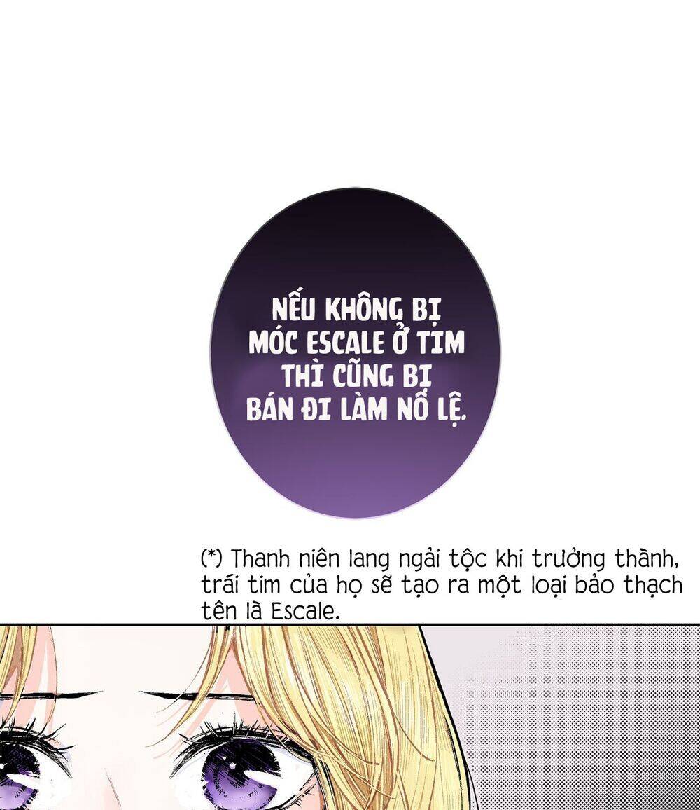 Cuộc Phản Công Của Nàng Hầu Chapter 3 - Trang 2