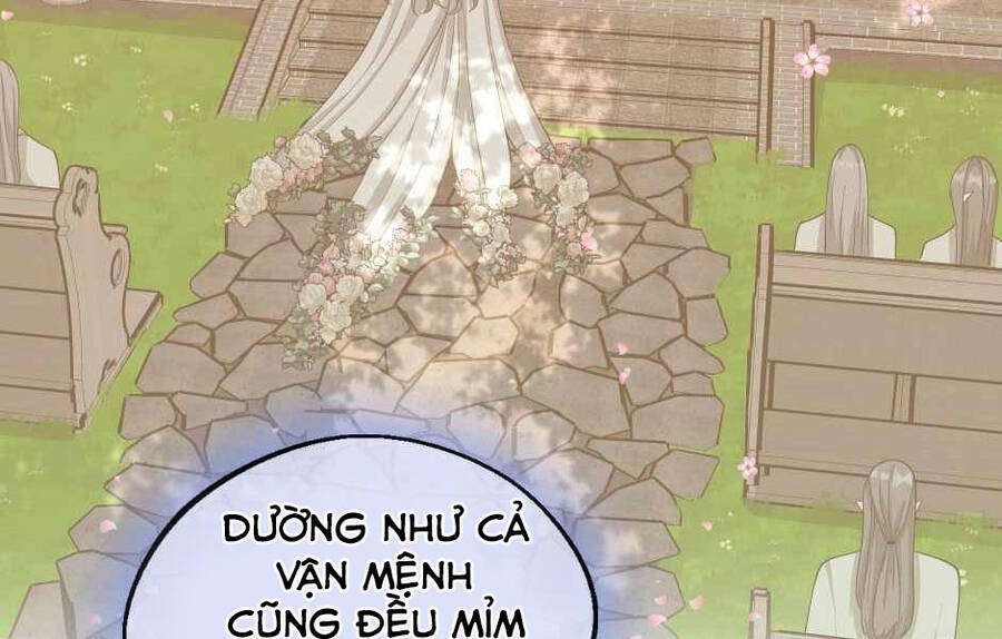 Ánh Sáng Cuối Con Đường Chapter 131 - Trang 2