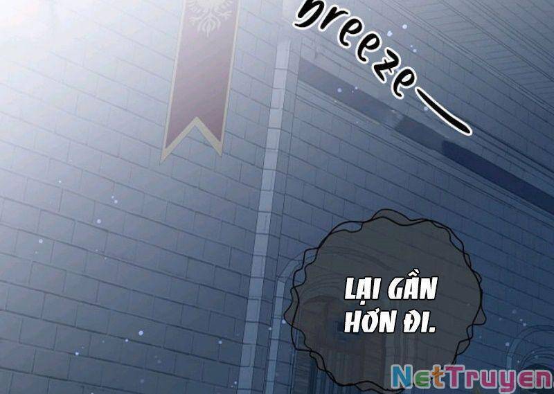 Tôi Là Bạn Gái Cũ Của Một Người Lính Chapter 51 - Trang 2