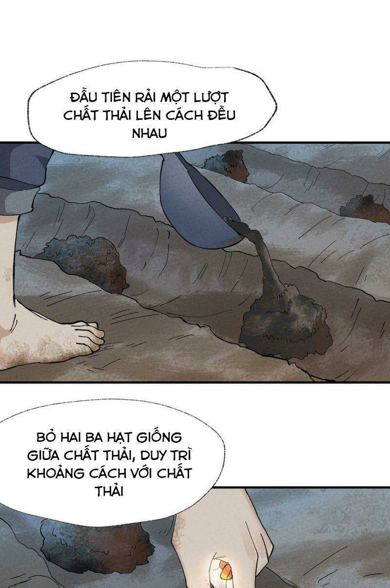 Tối Cường Võ Hồn Hệ Thống Chapter 35 - Trang 2