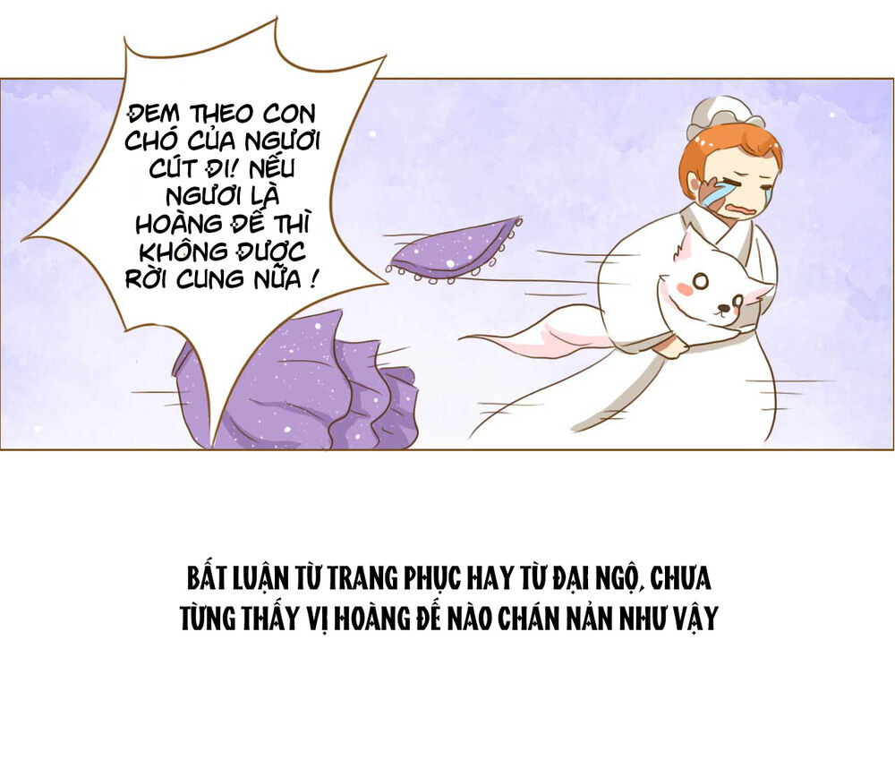 Mẫu Phi Đuôi Của Người Lộ Ra Rồi Kìa Chapter 52 - Trang 2