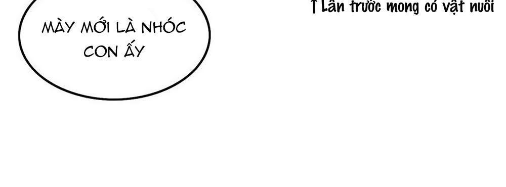 Cướp Đi Nụ Hôn Của Người Chapter 29 - Trang 2