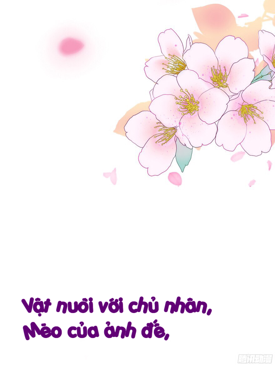 Chủ Nhân Là Ảnh Đế Chapter 1 - Trang 2