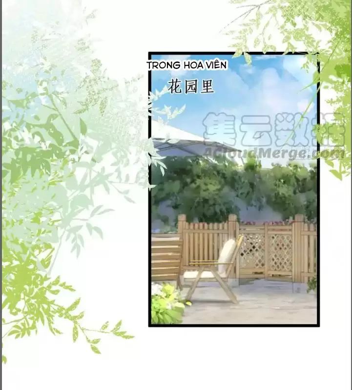 Hắc Đạo Này Có Chút Manh Chapter 214 - Trang 2