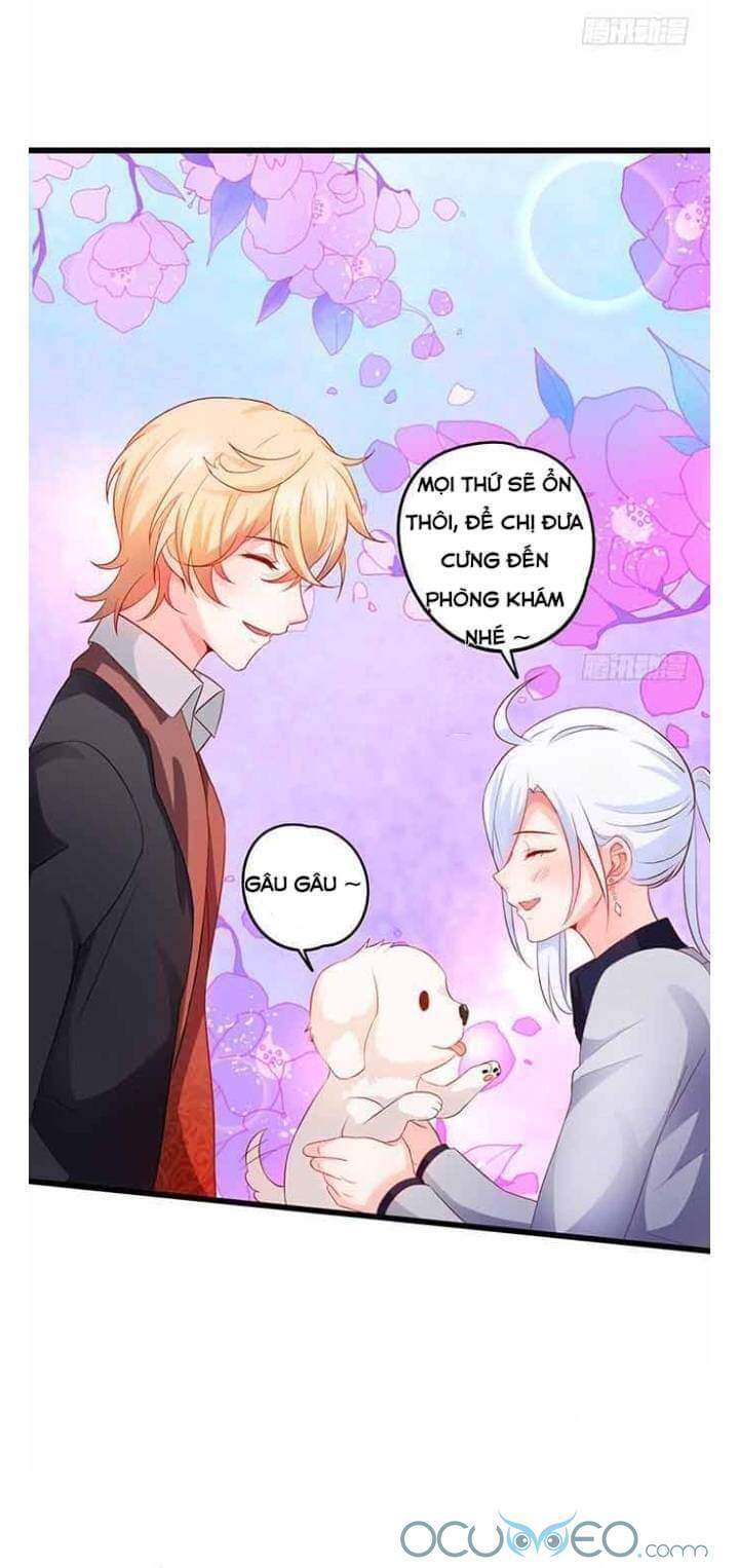 Hắc Đạo Này Có Chút Manh Chapter 50 - Trang 2