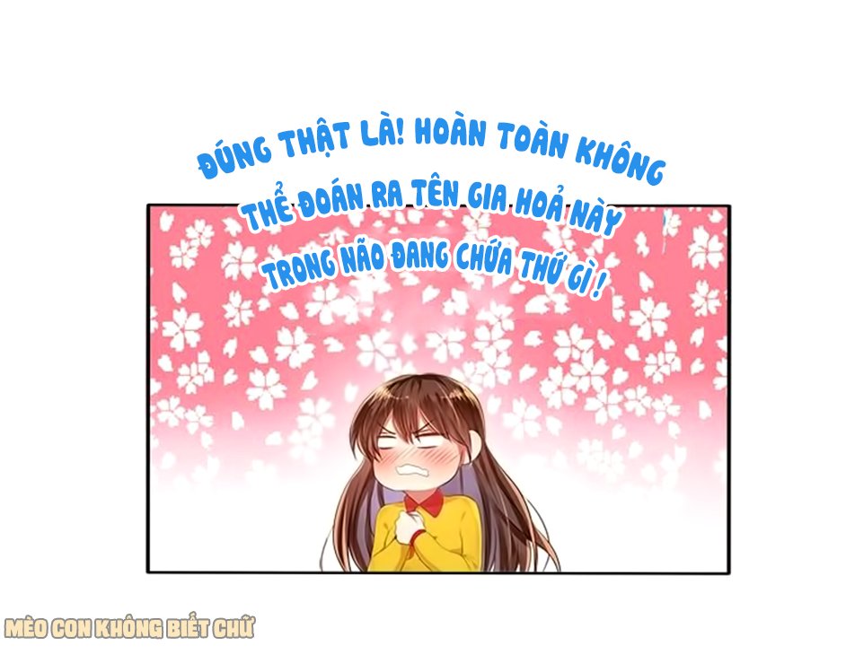 Không Có Ssr Làm Sao Để Yêu Chapter 11 - Trang 2