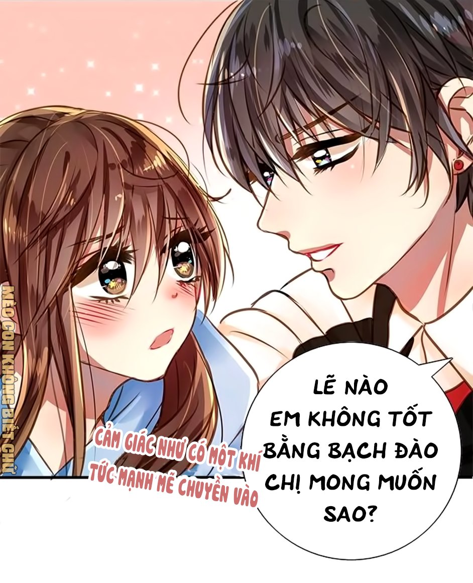 Không Có Ssr Làm Sao Để Yêu Chapter 5 - Trang 2