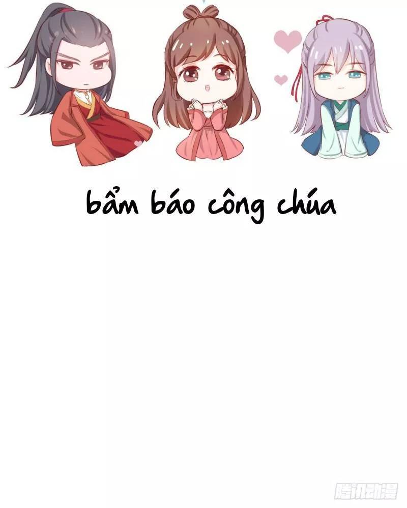 Bẩm Báo Công Chúa ! Chapter 37 - Trang 2