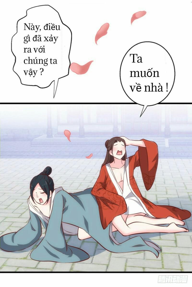 Bẩm Báo Công Chúa ! Chapter 4 - Trang 2