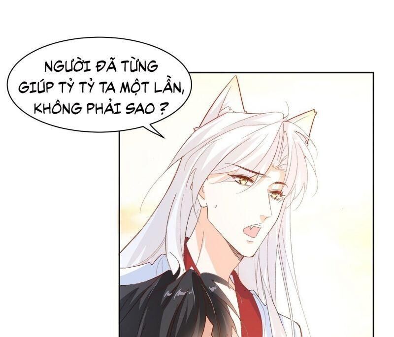 Ảnh Đế Yêu Hồ Chapter 60 - Trang 2