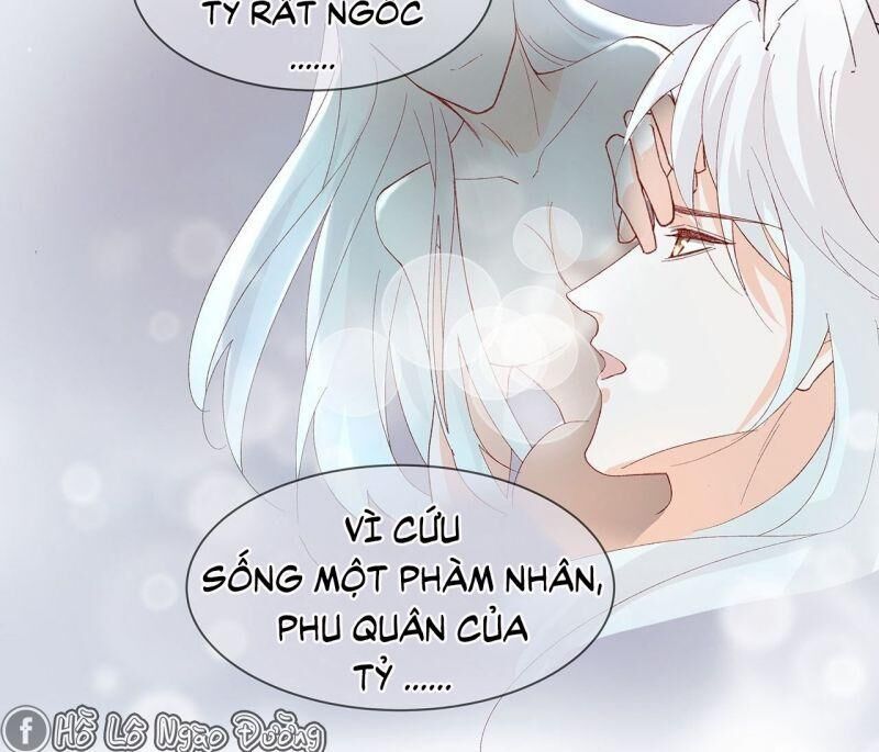 Ảnh Đế Yêu Hồ Chapter 60 - Trang 2