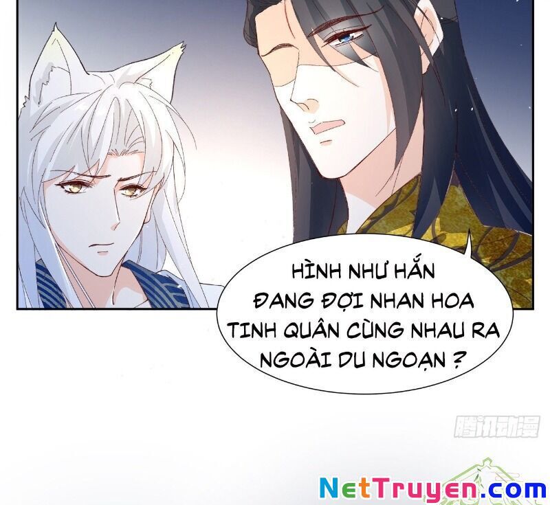 Ảnh Đế Yêu Hồ Chapter 56 - Trang 2