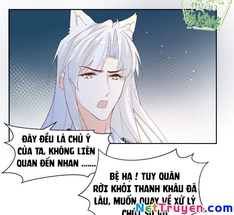 Ảnh Đế Yêu Hồ Chapter 56 - Trang 2