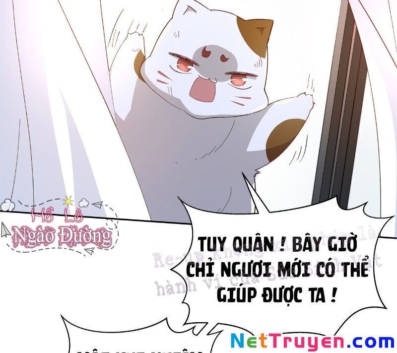 Ảnh Đế Yêu Hồ Chapter 51 - Trang 2